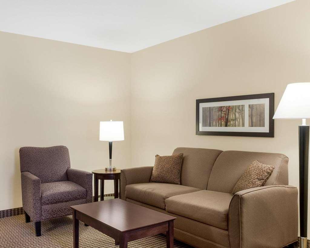Comfort Suites Conference Center Rapid City Rum bild