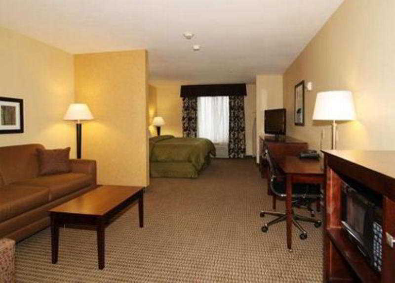 Comfort Suites Conference Center Rapid City Rum bild